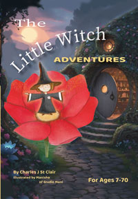 The Little Witch Adventures